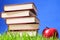 Books on grass. Educational concept.