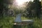 Books and jug with chamomiles on green grass outdoors