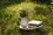 Books and jug with chamomiles on green grass outdoors