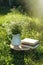 Books and jug with chamomiles on green grass outdoors