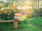 Books are laying on a vintage bench at sunset. Toned