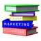 Books Management, Marketing, Accounting isolated on white background