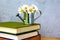 Books and miniature watering can with daisies on wooden table and grey background