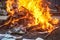 Books and notebooks burn in flames against the backdrop of a destroyed building