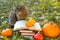 Books, pumpkins, autumn leaves and emotional cat in the autumn garden.Back to school. Scientist cat. Emotions of a cat