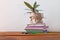 Books stack, pencils with green home plant in a pot wrapped in brown kraft paper on white background. Distance education