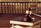 Books and wooden gavel on wooden table