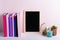 Bookshelf with multicolor books, house plants succulents and black board frame for text. Background for Teacher`s Day, World Book