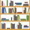 Bookshelves. Seamless background pattern
