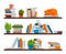 Bookshelves. Shelf in library room. Place for storage books. Rack with stacks of textbooks or notepads, flower pots and