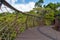 Boomslang walkway in Kirstenbosch Western Cape South Africa