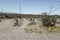 Boot Hill Graveyard In Tombstone Arizona