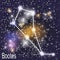 Bootes Constellation with Beautiful Bright Stars on the Background of Cosmic Sky Vector