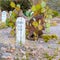 Boothill Graveyard in Tombstone Arizona