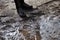 Boots of a child near a puddle. Rainy, dark days.