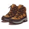 Boots image. Hiking boots image isolated. Vector illustration