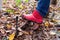 Boots on a shoe scraper. Dirty rubber boots are cleaned of dirt from the sole on the English traditional shoe scraper in