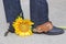 Boots, Spurs and Sunflower