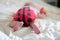 Booty baby in the body in the form of a ladybug. A newborn baby is lying on the belly. Baby is trying to crawl.