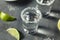 Boozy Cold Tequila Shots