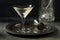 Boozy Dry Gin Gibson Martini