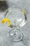 Boozy Refreshing Gin Turf Club Martini