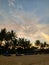 Bophut beach and silhouettes of palms on Koh Samui in Thailand at sunset.