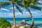 Bora bora french polynesia aerial airplane view luxury resort overwater