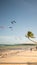 Boracay, Philippines - January 5, 2018: Kiteboarding. People enjoying the energy of the wind on the beach of the island