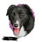 Borador digital art illustration of cute canine animal. Crossbreed dog created by crossing Labrador Retriever and Border