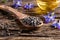 Borage seeds on a spoon, with borage oil and flowers in the background