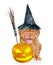 Bordeaux puppy with witches broom stick, pumpkin and hat for halloween. isolated on white background