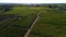 Bordeaux vineyards, Saint-Emilion, in Aquitaine area of the Gironde department, France, Europe, Aerial View