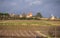 Bordeaux vineyards. Vineyards and hills in autumn.