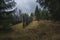 Border area Take care of a piece of German history with a border fence, water barrier, earthen bunker and observation tower