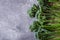 Border of broccolini on grey stone background.