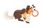 Border Collie Dog Breed with Thick Coat Running with Ring Vector Illustration