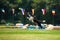 Border collie dog catching frisbee in jump