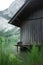 Border Collie dog on nature, background of a beautiful landscape. pet by the mountain lake.