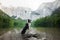 Border Collie dog on nature, background of a beautiful landscape. pet by the mountain lake.