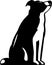 Border Collie Dog Sitting Looking Up Side Retro Woodcut Style