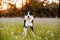 Border collie enjoying a field with purple flowers