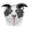 Border collie face vector graphics