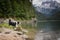 Border collie is jumping into the lake.