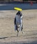 Border collie jumping to catch a yellow disc