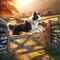 Border collie leaps over wooden farm gate