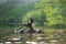 A Border Collie lies dog on a rock in the midst of a lake, surrounded by verdant forest