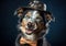 A Border Collie poses with a hat on his head against a dark background.