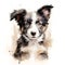 Border collie puppy , on a white background. Cute digital watercolour for dog lovers