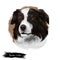 Border Collie, Scottish Sheepdog dog digital art illustration isolated on white background. United Kingdom origin herding dog.